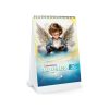 7702445050567-2 CALENDARIO ANGELES ESCRITORIO 2027