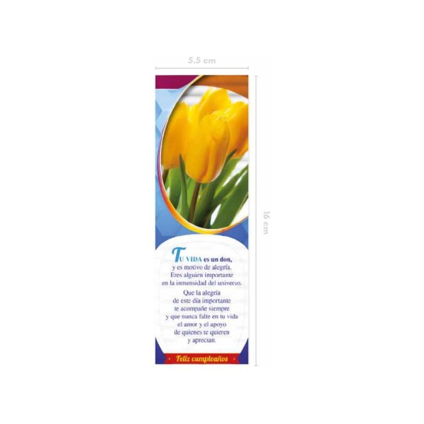 TARJETA SERIE AURORA A (D)
