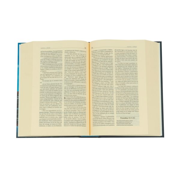 LA BIBLIA EN UN ANO ED LATINOAMERICANA