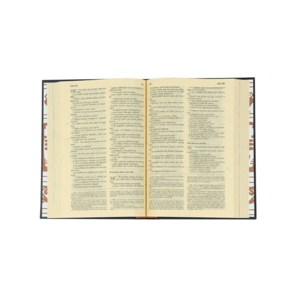 BIBLIA LATINOAMERICANA LN TD