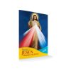 NOVENA A JESUS MISERICORDIOSO