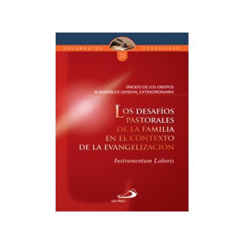 LOS DESAFIOS PASTORALES DE LA FAM (D)